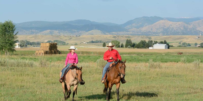 Horse riding