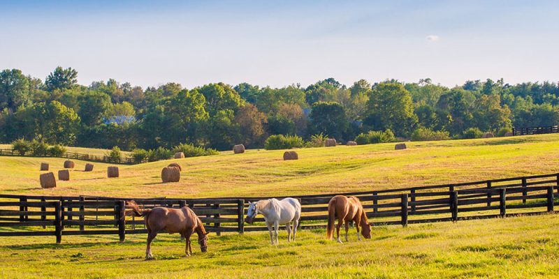 Horse trailer owner extends ‘thank you’ for commitment to safety